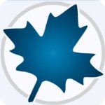 maple软件2020中文最新版