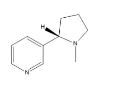 使用6