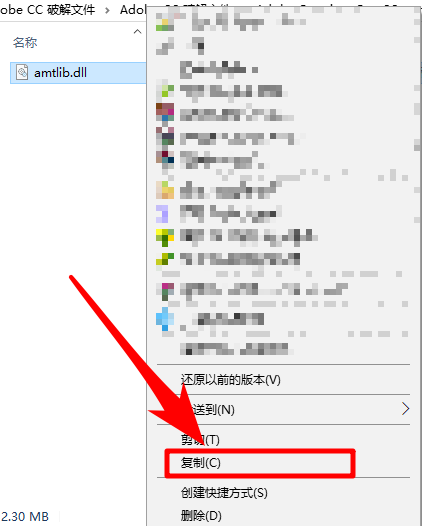 amtlib.dll文件最新版使用方法2
