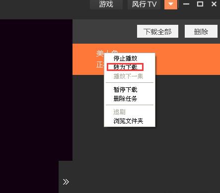 风行视频播放器电脑版使用技巧4