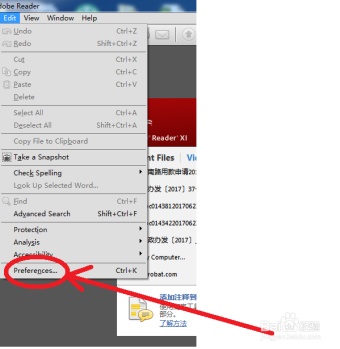 adobe reader 10改界面步骤2