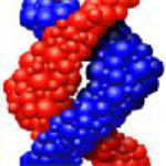 DNASTARLasergenev11.0特别版