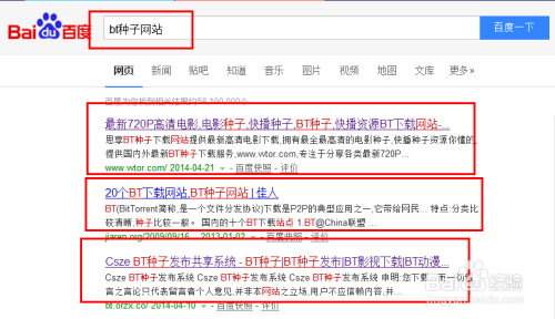 怎么用种子下载1
