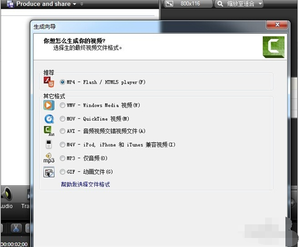 Camtasia Studio8截图12