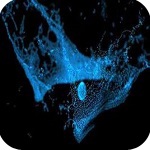 RealFlow2021中文版v2021永久免费版