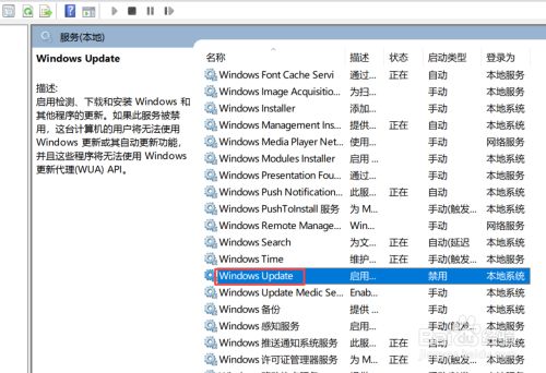 win10最新版系统下载截图11