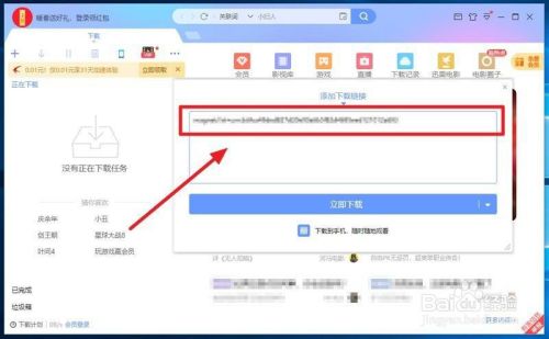 迅雷5.8版本无限制版免安装版怎么下载磁力1