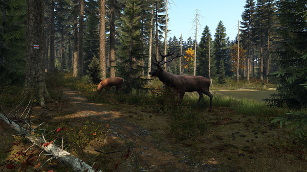 dayz最新版百度云截图3