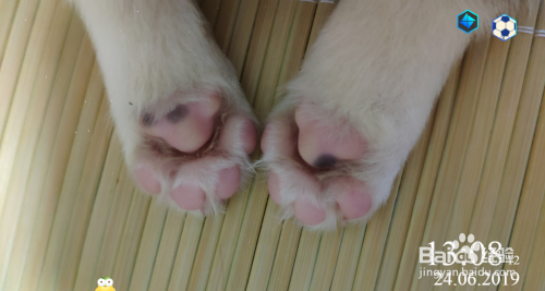怎么把圆圈去掉5