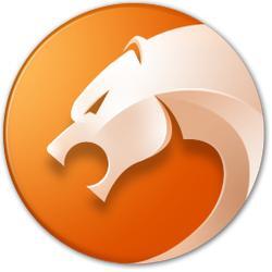 猎豹浏览器电脑版