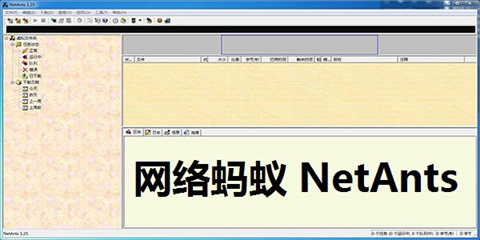 网络蚂蚁下载