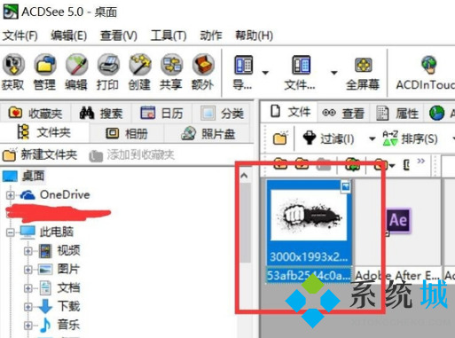 ACDSee（图像管理软件）下载