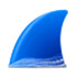 wireshark（网络抓包工具）