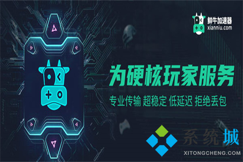 鲜牛加速器下载