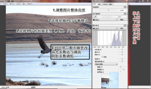 Digital Photo Professional(专业图像处理软件)下载