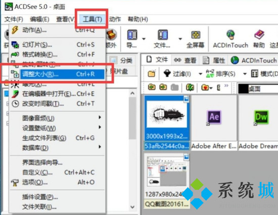 ACDSee（图像管理软件）下载