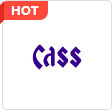 Cass(制图软件)