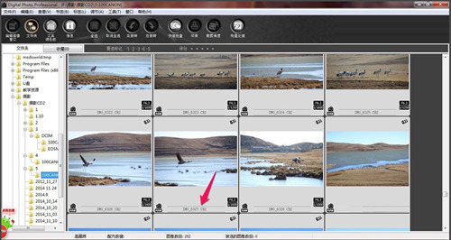 Digital Photo Professional(专业图像处理软件)下载