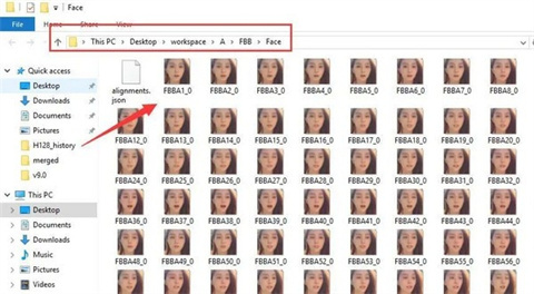 OpenFaceSwap(AI换脸软件)下载