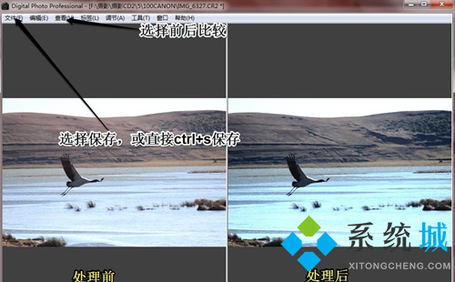 Digital Photo Professional(专业图像处理软件)下载