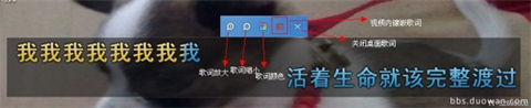 yy伴侣虚拟视频下载