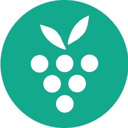 Berrycast(屏幕录制软件)