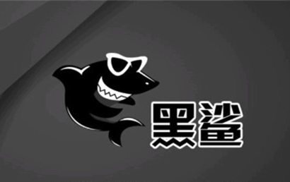 黑鲨装机大师v12.8.50.1760