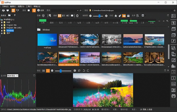exifpro3.0