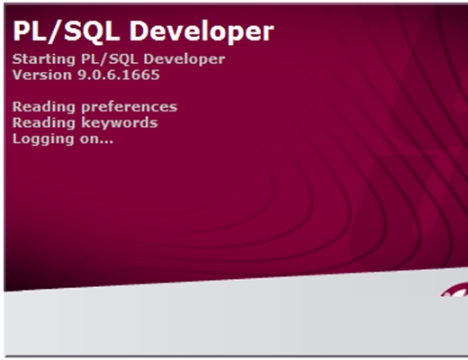 plsqldeveloper中文版