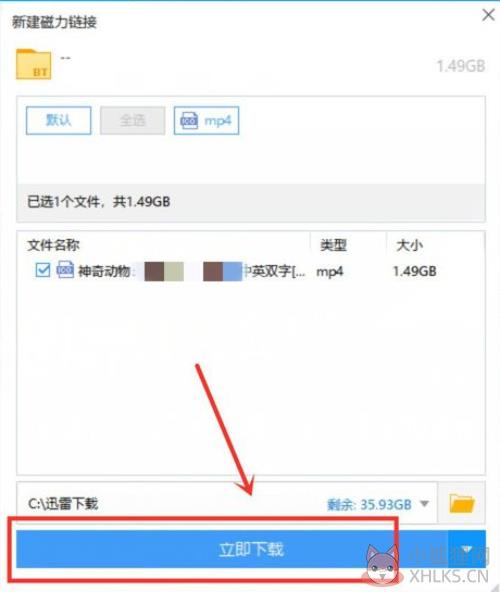 迅雷5.8怎么输入磁链接3