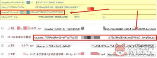 迅雷5.8怎么输入磁链接1