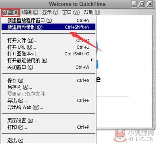 使用QuickTime解码器电脑版 如何录制音频1