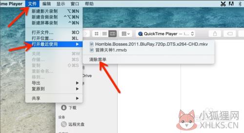 如何删除QuickTime解码器最新官方版的播放记录5