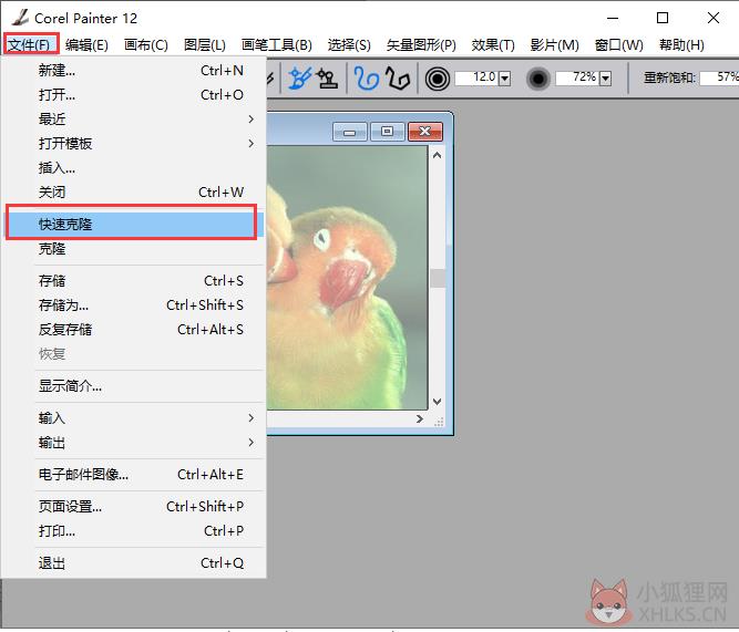 Painter12中文版下载