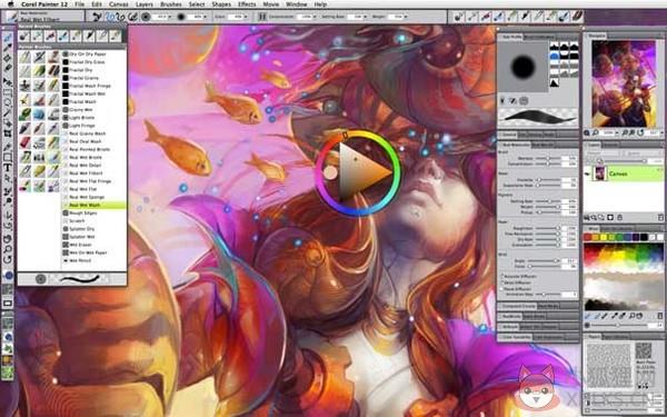 Painter12中文版下载