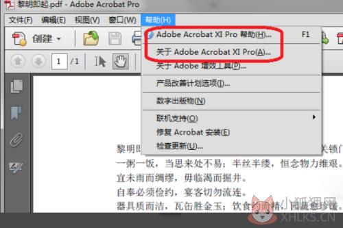 Adobe Acrobat Pro编辑pdf的教程1
