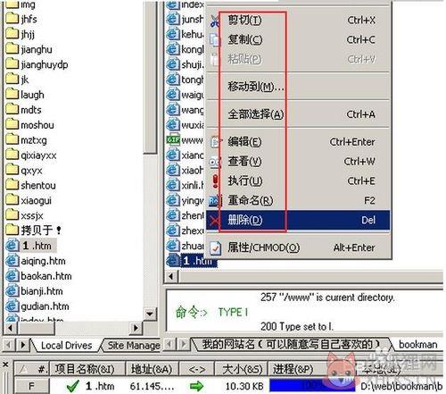 CuteFTP使用教程7