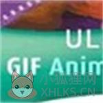 uleadgifanimator简体下载v5.05破解版