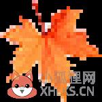 深山红叶PE工具箱官方下载v32纯净版