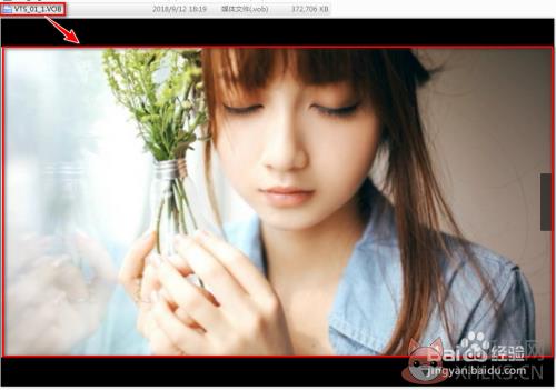 memoriesontv使用教程