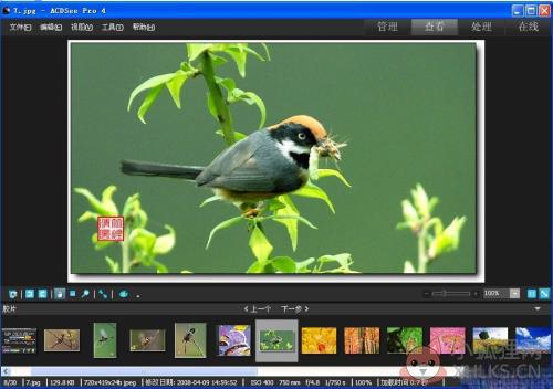 acdsee9.0最新版2