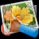 NeatImage(图片降噪软件)v8.6.2