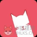 猫咪视频中文最新版