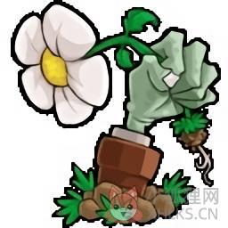 植物大战僵尸鉴版v0.710疯狂模式版