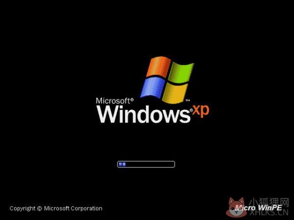 windows pe软件下载