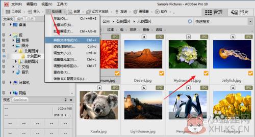 怎么压缩图片大小2