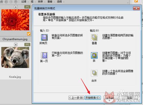 怎么压缩图片大小7