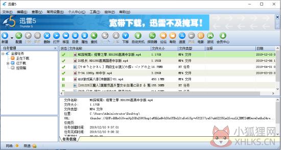 迅雷5绿色版