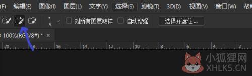 photoshop10.0增强版截图14