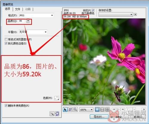 fireworks8免费版如何改变图片大小8